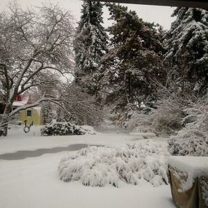 Meet your Posher, Cheryl